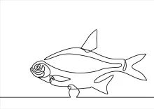 One-Line Fish Drawing: Great for Practicing Simple Shapes and Symmetry