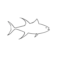 One-Line Fish Drawing: Great for Practicing Basic Shapes and Balance
