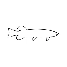 Basic Fish One-Line Drawing: Ideal for Quick Sketching Practice