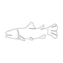 Fish One-Line Drawing: Quick and Simple Marine Sketch for All Ages