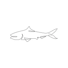 One-Line Fish Drawing: Simple Marine Shapes for Quick Sketch Practice