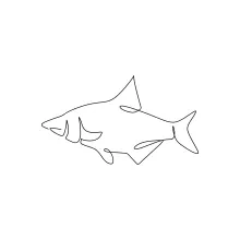 Fish One-Line Drawing: Improve Drawing Focus with Simple Practice Shapes