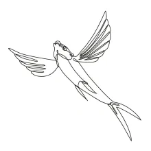 Easy Fish Drawing in One Line: Great for Practicing Animal Basics and Fins