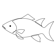 Fish One-Line Drawing: Boost Your Drawing Skills with Easy Marine Forms