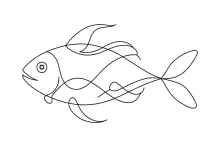 Simple Fish Drawing in One Line: Learn Structure and Curve Placement