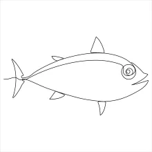 Easy One-Line Fish Drawing: Great for Practicing Basic Shapes and Flow