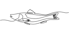 Sea Fish One-Line Drawing: Great for Practicing Smooth Aquatic Shapes