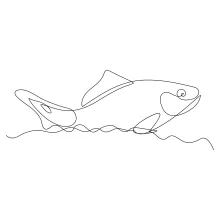 One-Line Fish Drawing: A Simple Art Task to Practice Shape Recognition