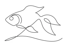 One-Line Goldfish Sketch: Simple Practice for Learning Basic Ocean Forms