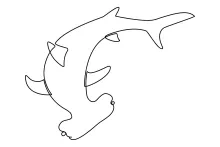 Hammerhead Shark One-Line Drawing: Practice Unique Head Shapes with Confidence