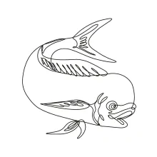 Mahi Mahi Jumping Down in One Line: Practice Tropical Fish Motion and Bold Curves