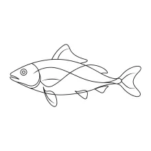 Northern Fish One-Line Drawing: Sketch Cold-Water Shapes in One Stroke