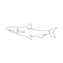 Salmon One-Line Drawing: Focus on Streamlined Body Practice