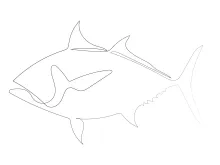 Easy One-Line Salmon Drawing: Explore Marine Animal Forms with One Line