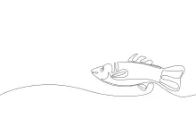 Salmon One-Line Drawing: Practice Long Body Shapes in River-Inspired Art