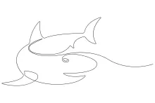 Easy One-Line Shark Sketch: Develop Hand Control with a Strong Sea Form