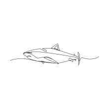 Shark One-Line Drawing: Learn Strong Ocean Shapes with One Simple Outline