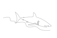 Shark One-Line Drawing: Simple Marine Predator for Confident Line Practice