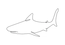 One-Line Shark Drawing: Explore Strong Ocean Shapes with Simple Tools