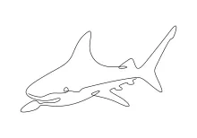 Shark Drawing in One Line: Easy and Effective Marine Art Practice