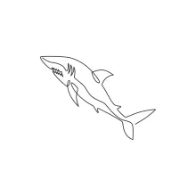 Predator Shark in One Line: Learn Bold Outlines and Strong Features in One Shape