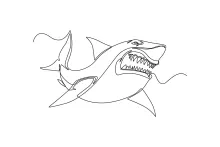 One-Line Shark Drawing with Teeth: Bold Marine Art Made Simple