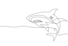 Shark Fish One-Line Drawing: Learn to Outline Predators Using Simple Lines