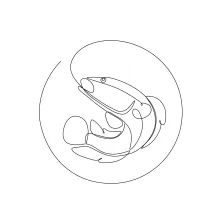 Giant Snakehead Fish in One Line: Learn Long Forms and Face Shapes Through Drawing
