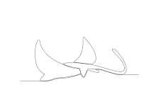 Adorable Stingray One-Line Drawing: A Gentle Marine Shape for Beginners