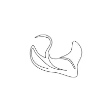 Beautiful Stingray One-Line Drawing: Learn Wide Forms with a Calm Sea Creature