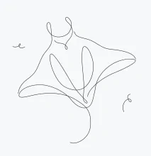 One-Line Manta ray Drawing: Learn to Sketch Wide, Flat Shapes Easily