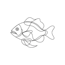 Tilapia One-Line Drawing: Practice Natural Finned Shapes in a Single Sketch