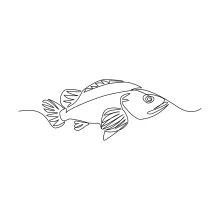 Tropical Fish in One Line: Build Drawing Skills with Decorative Ocean Shapes