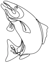 Jumping Lake Trout in One Line: Explore Height, Curves, and Natural Motion