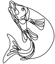 One-Line Lake Trout Sketch: Learn Lift and Motion with a Jumping Fish Drawing