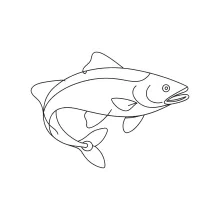 One-Line Trout Drawing: Learn Curves and Flow with River Fish Shapes