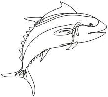 One-Line Bluefin Tuna Drawing: Practice Energy and Motion with a Jumping Fish