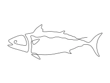 Tuna Fish One-Line Drawing: Build Skills with Long, Fast Ocean Shapes