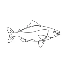 Simple Tuna One-Line Drawing: Learn Speed and Flow in One Sketch