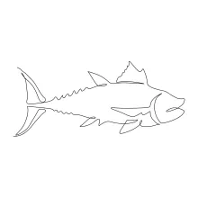 Tuna Fish One-Line Drawing: Build Confidence with Fast Ocean Shapes