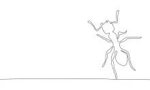 Simple One-Line Ant: Practice Proportions and Connected Shapes in Insect Drawing