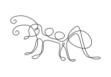 Big Ant in One Line: Practice Shape and Detail in a Minimal Way