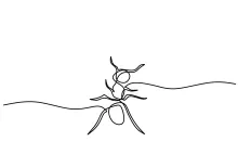 One-Line Ant Drawing: Practice Small Shapes with Big Learning Benefits