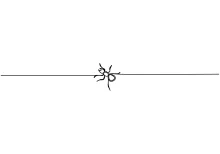 Simple One-Line Little Ant: Easy Drawing for Learning Insect Structure