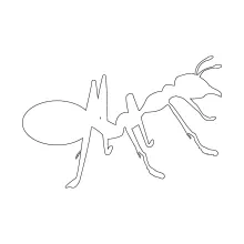 One-Line Ant Drawing: Practice Basic Insect Body Parts with Simple Shapes