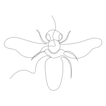 Easy Flying Bee Drawing in One Line: Practice Small Insect Form and Detail