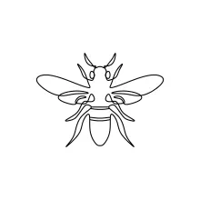 One-Line Bee Drawing: Explore Insect Form with Simple Curves and Basic Shapes