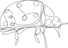 Simple One-Line Ladybug Drawing: Learn Round Forms and Structure Easily