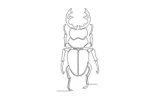 One-Line Beetle Drawing: Basic Practice for Round Bodies and Short Legs