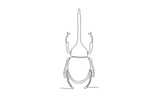 Horned Beetle in One Line: Explore Shape Weight and Body Details with Ease